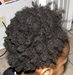 0212puff31 0212puff31
